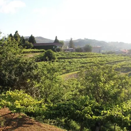 Pazo De Almuina Arbo