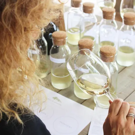 Pazo De Almuina カントリーハウス *